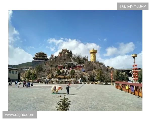 TES的崛起之路:从挑战到辉煌的世界大师赛全景回顾 TES的崛起之路:从挑战到辉煌的世界大师赛全景回顾