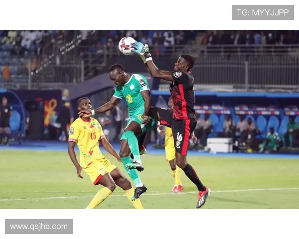 法国与塞内加尔精彩对决集锦回顾赛场瞬间震撼人心