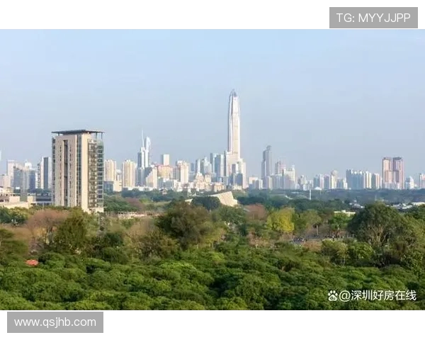 深圳攀岩队的进攻革新探索与实践全景解析