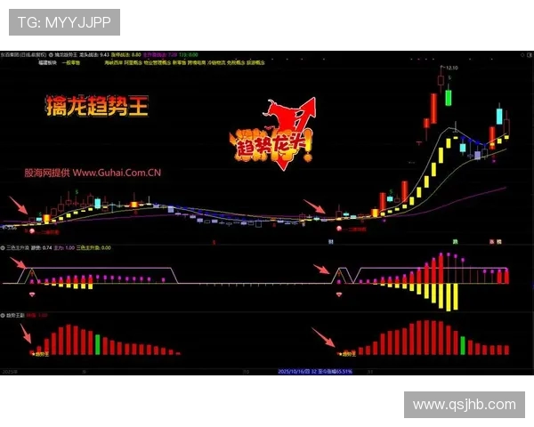 专访吴伟揭秘DOTA2成功秘诀与未来发展趋势分析